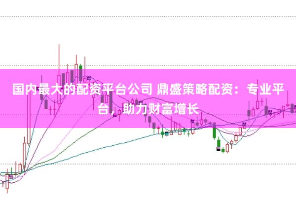 国内最大的配资平台公司 鼎盛策略配资：专业平台，助力财富增长