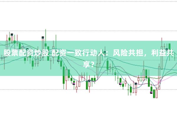 股票配资炒股 配资一致行动人：风险共担，利益共享？