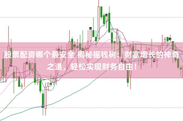 股票配资哪个最安全 揭秘摇钱树：财富增长的神奇之道，轻松实现财务自由！