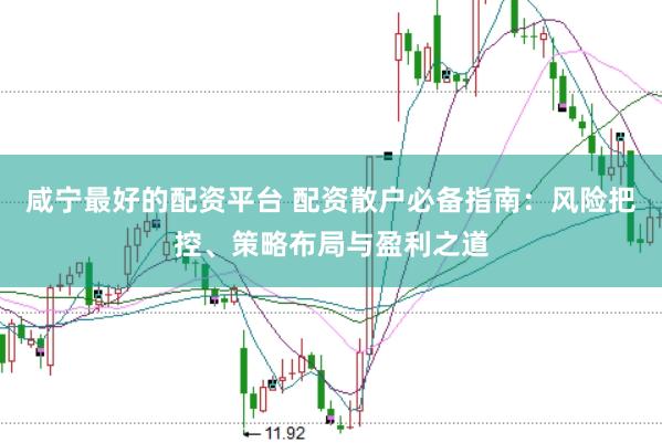 咸宁最好的配资平台 配资散户必备指南：风险把控、策略布局与盈利之道