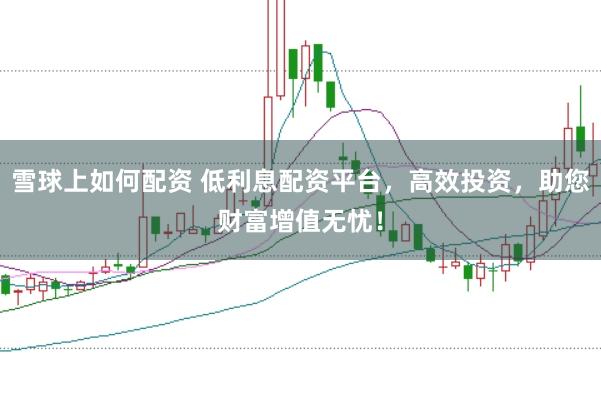 雪球上如何配资 低利息配资平台，高效投资，助您财富增值无忧！