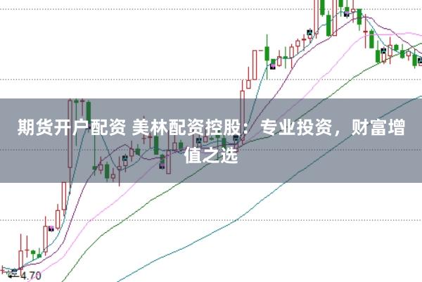 期货开户配资 美林配资控股：专业投资，财富增值之选