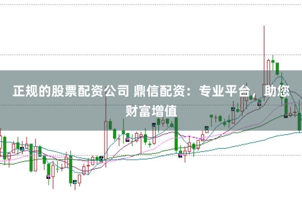 正规的股票配资公司 鼎信配资：专业平台，助您财富增值