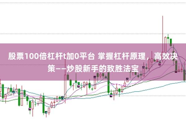 股票100倍杠杆t加0平台 掌握杠杆原理，高效决策——炒股新手的致胜法宝