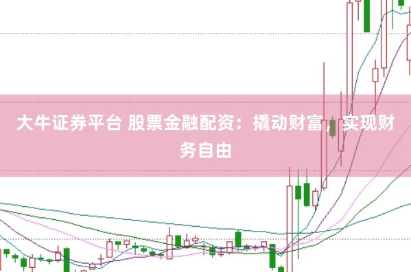 大牛证券平台 股票金融配资：撬动财富，实现财务自由
