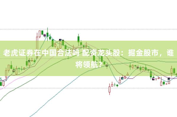 老虎证券在中国合法吗 配资龙头股：掘金股市，谁将领航？