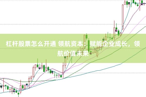 杠杆股票怎么开通 领航资本：赋能企业成长，领航价值未来