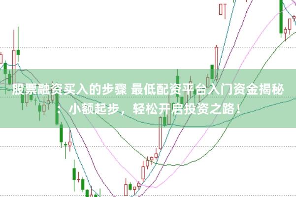 股票融资买入的步骤 最低配资平台入门资金揭秘：小额起步，轻松开启投资之路！