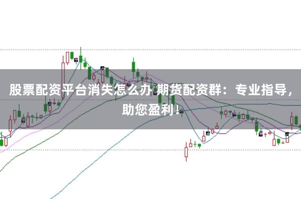 股票配资平台消失怎么办 期货配资群：专业指导，助您盈利！